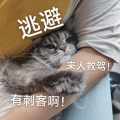 截屏2025-07-16 14.15.49.png