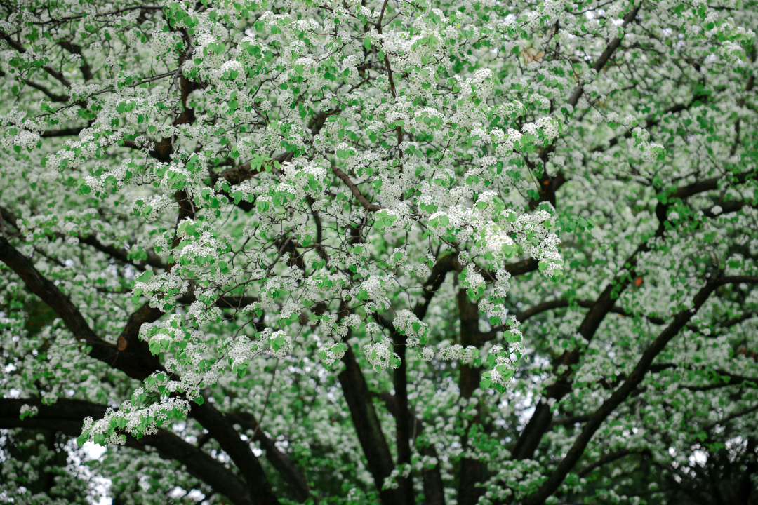 abdf803f799b73930c097f145f3d0c10.png