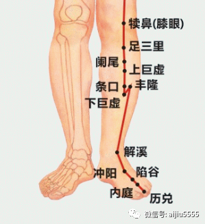 胃不好 就推 长寿筋 推推就好了 艾灸5555 微信公众号文章阅读 Wemp