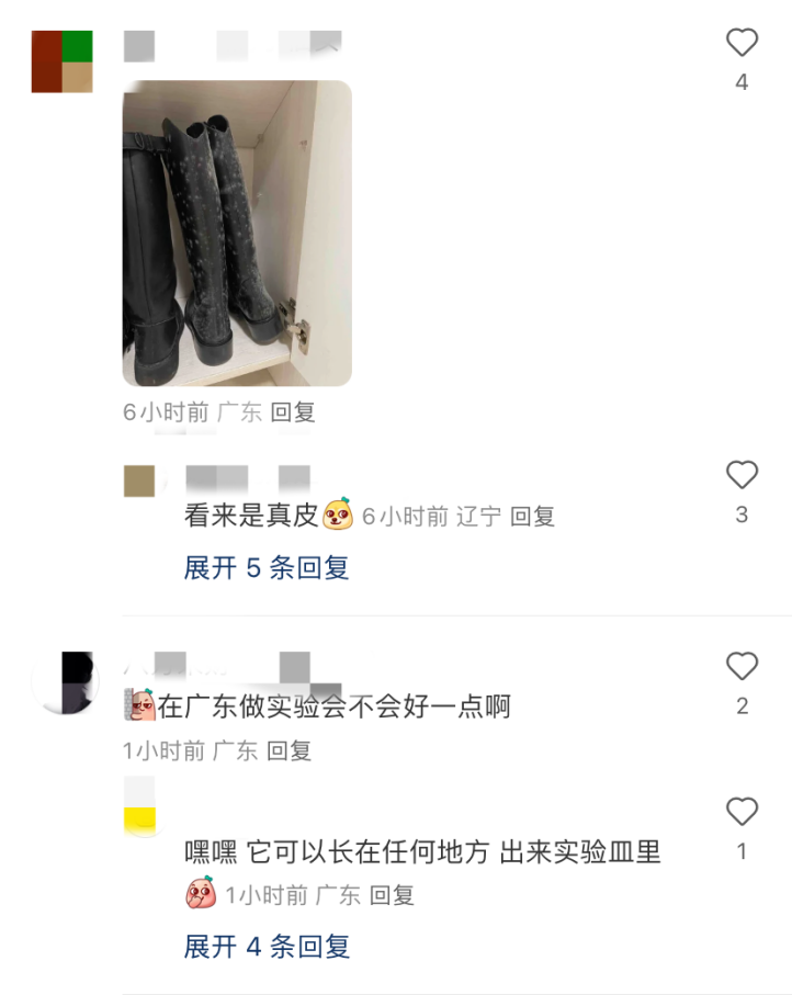 博物馆回应展品发霉