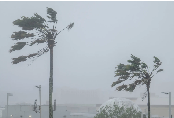 China Typhoon Bavi ： Travel Disruptions, Ferry Suspensions July 10-13