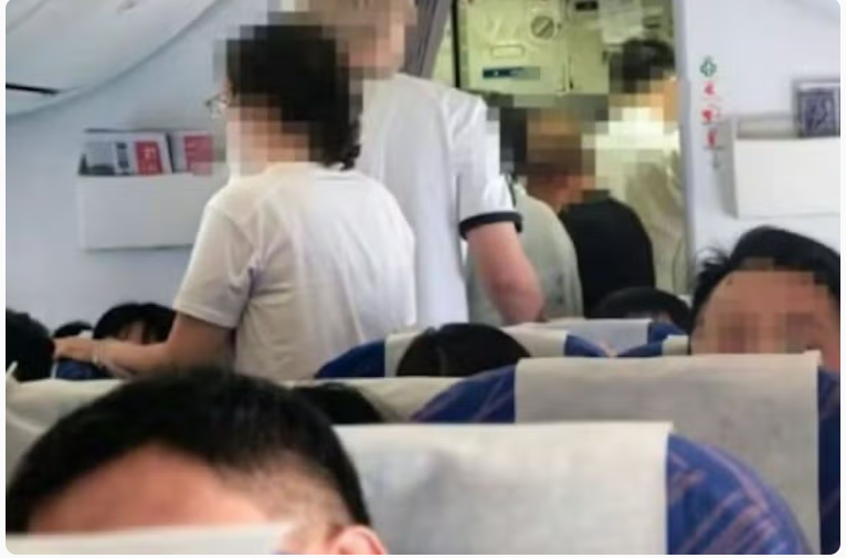 China Southern Flight CZ8403 Prune Juice Incident Leads to Toilet Rush