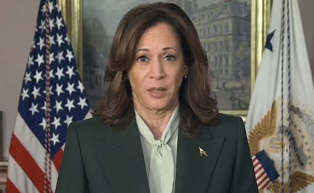 �ذ���������֤2024���ѡ���