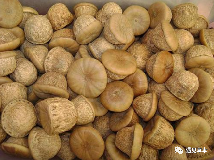 俗称“壮阳果”，它是天然的伟哥，11月正大量成熟，泡酒喝好处多