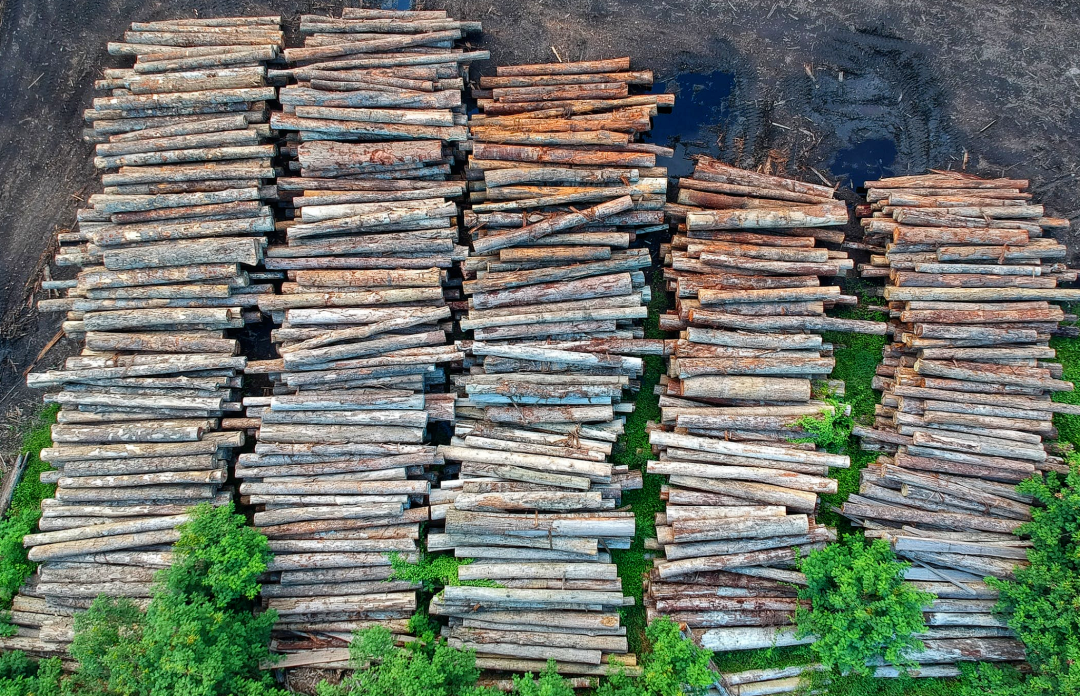 环保科普｜用纸有“度”，环保永驻