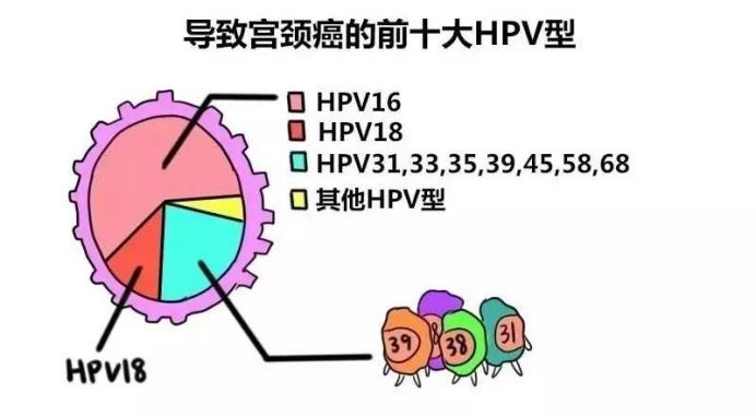 故事34歲體檢出hpv陽性的女生給你一些有用的忠告