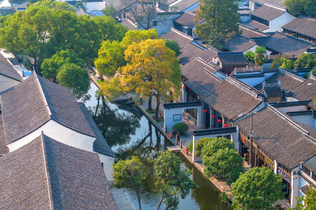微信图片_2026-03-30_133502_223.png