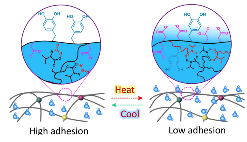 怎么撕敷料啊有它，撕伤口敷料再不怕疼了_https://www.jmylbn.com_新闻资讯_第2张