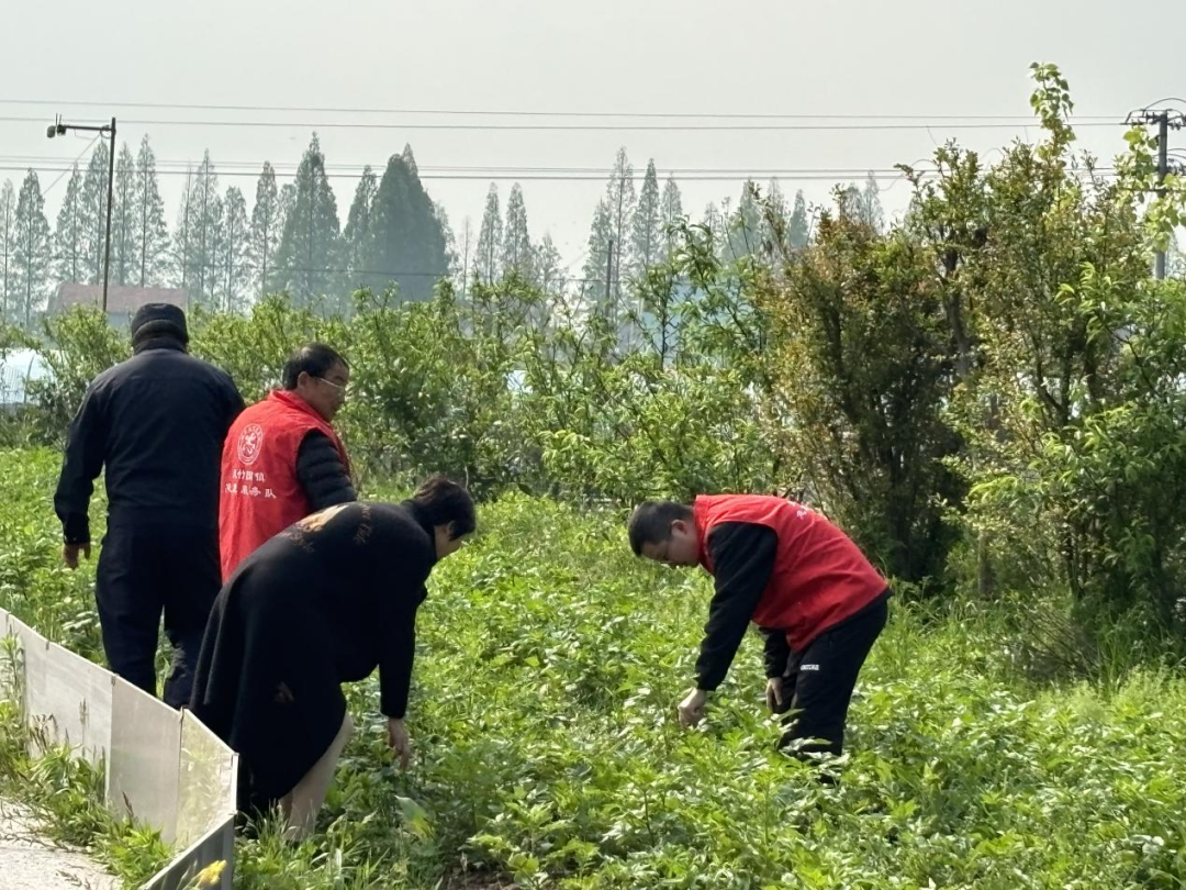 公安县夹竹园镇干部图片