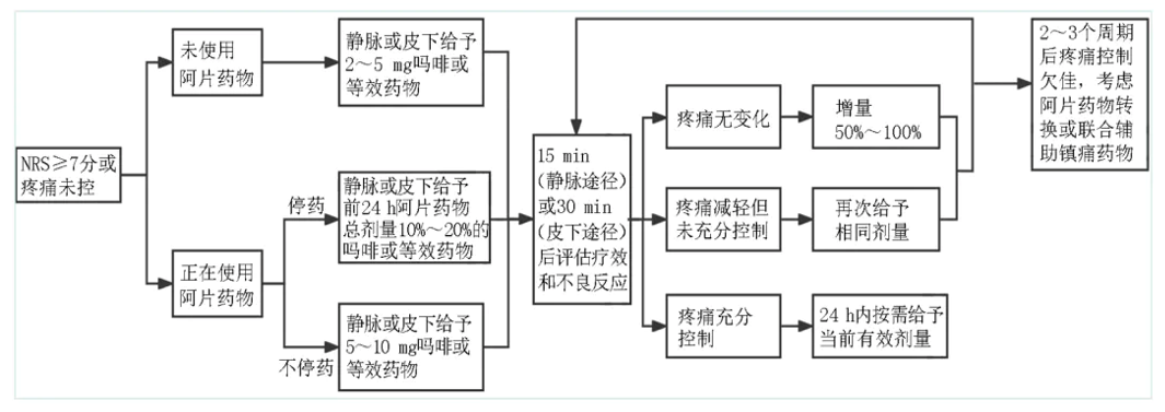 pca泵是什么智能镇痛先锋——全自动自控镇痛泵的临床应用与护理秘诀_https://www.jmylbn.com_新闻资讯_第19张
