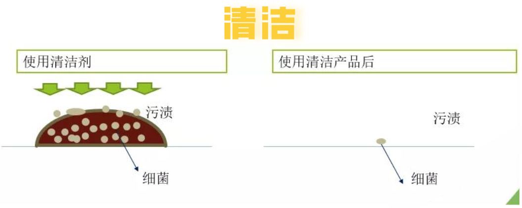 如何有效杀死冠状病毒?Leifheit为你支招,杀毒率高达99.99%! 如何有效杀死冠状病毒?Leifheit为你支招,杀毒率高达99.99%!