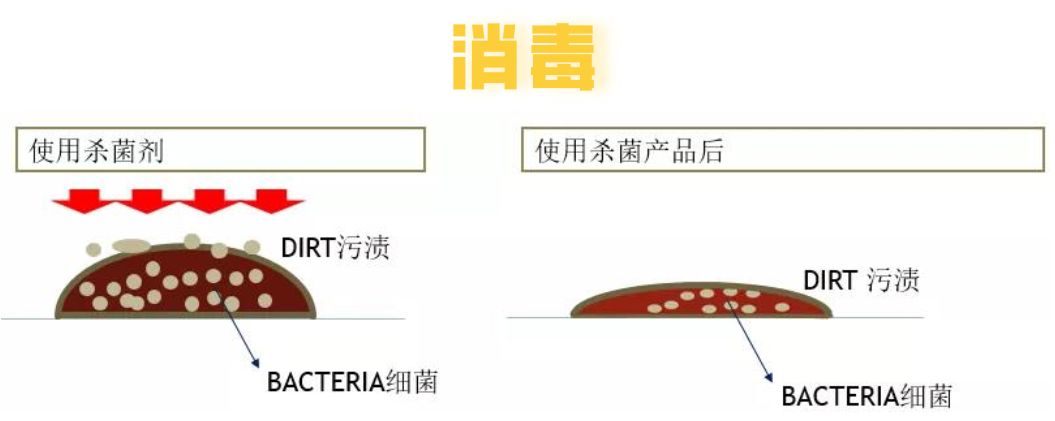 如何有效杀死冠状病毒？Leifheit为你支招，杀毒率高达99.99%！