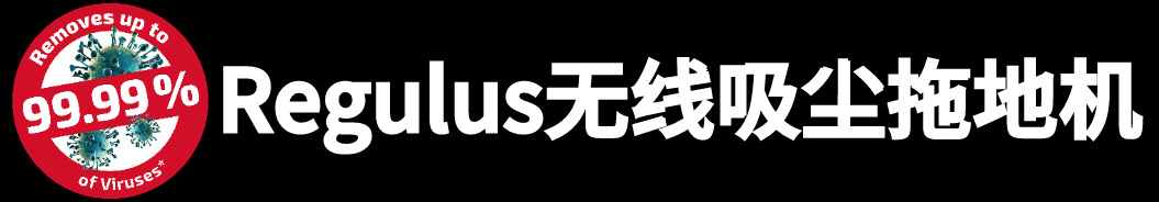 如何有效杀死冠状病毒？Leifheit为你支招，杀毒率高达99.99%！