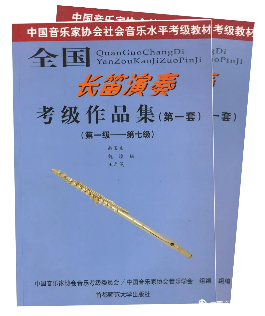 中国音乐家协会内蒙古考区2025年音乐考级开考科目及相关要求 第12张