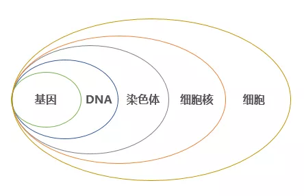 筛查过的囊胚为何还会移植失败？这4个点非常关键！