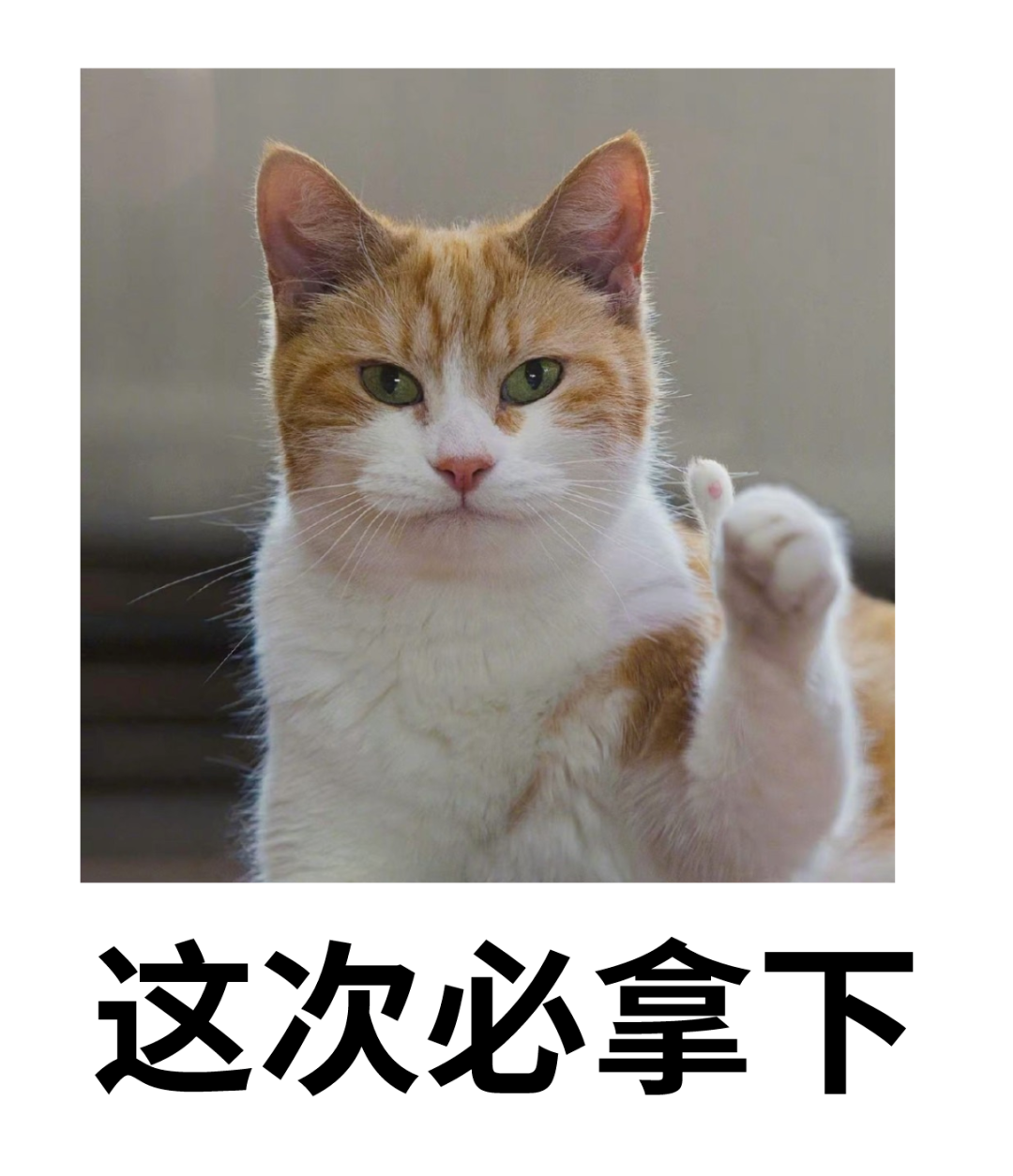 决定胚胎着床的4个关键因素，80%的姐妹都不知道！