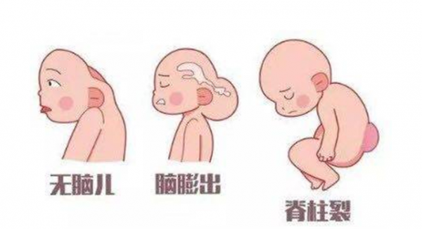 从备孕到怀孕，不能缺这7大营养素！