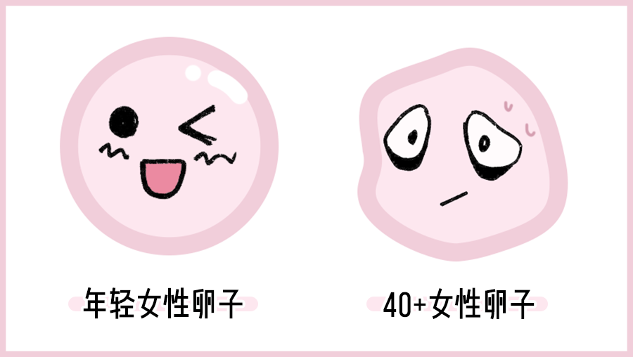 超实用！偷偷告诉你做试管如何省钱