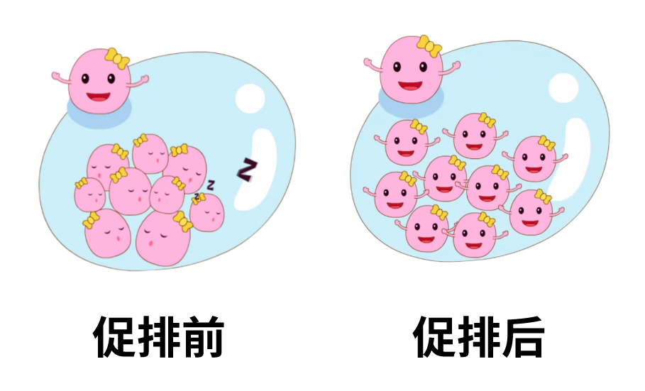 为了生娃打上百针？做试管真的那么难?