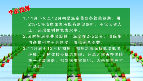 fa6100怎么使用冬季温室葡萄怎么管理，专家来指导_https://www.jmylbn.com_新闻资讯_第12张