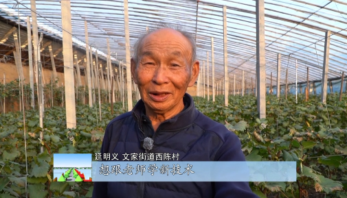 fa6100怎么使用冬季温室葡萄怎么管理，专家来指导_https://www.jmylbn.com_新闻资讯_第2张