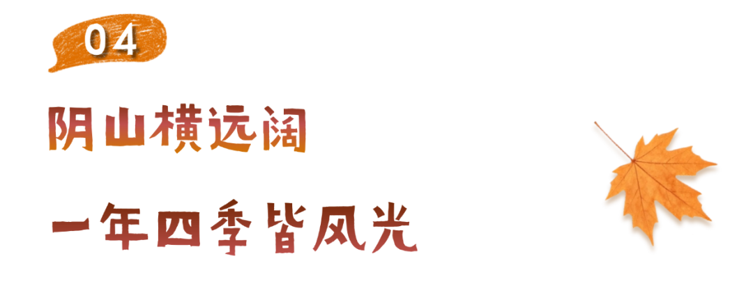 深秋标题 (4).png