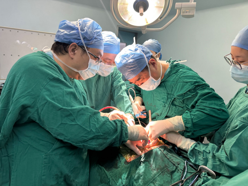 什么是结扎速血管闭合女子腹胀、腹痛以为是胃肠道不适，结果是卵巢癌！市二多学科合力诊治→_https://www.jmylbn.com_新闻资讯_第8张