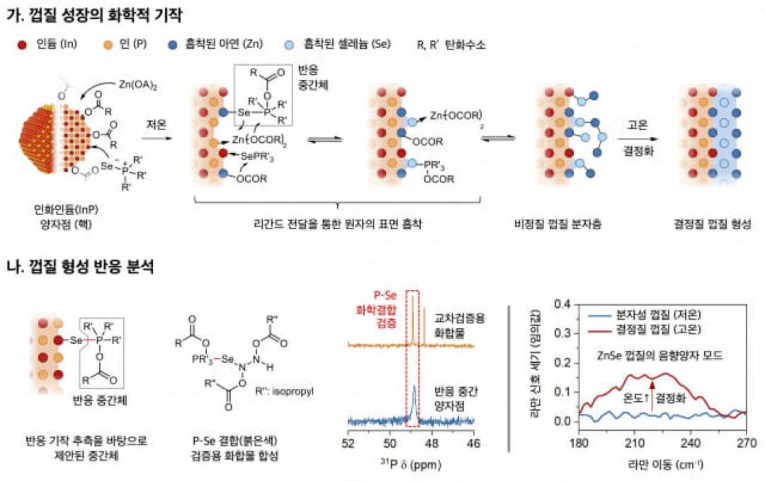 韩国研究团队开发出量子点发光效率达100%的技术的图6