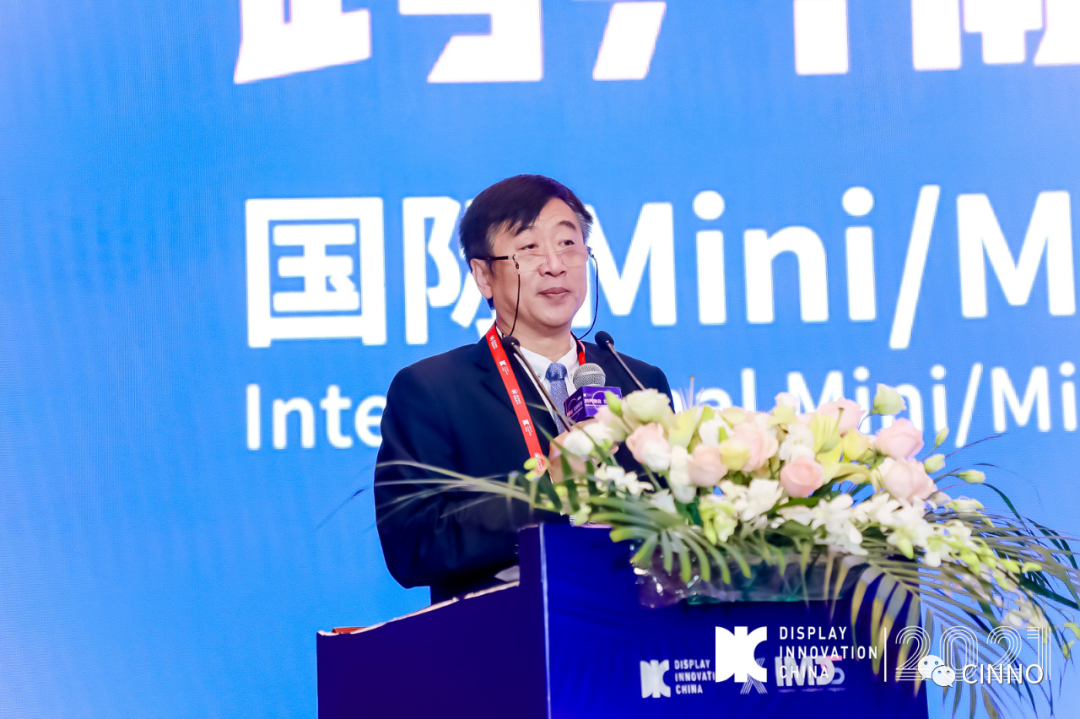 探索上下游協作、謀篇布局！首屆國際Mini/MicroLED供應鏈創新發展峰會成功舉辦的圖18