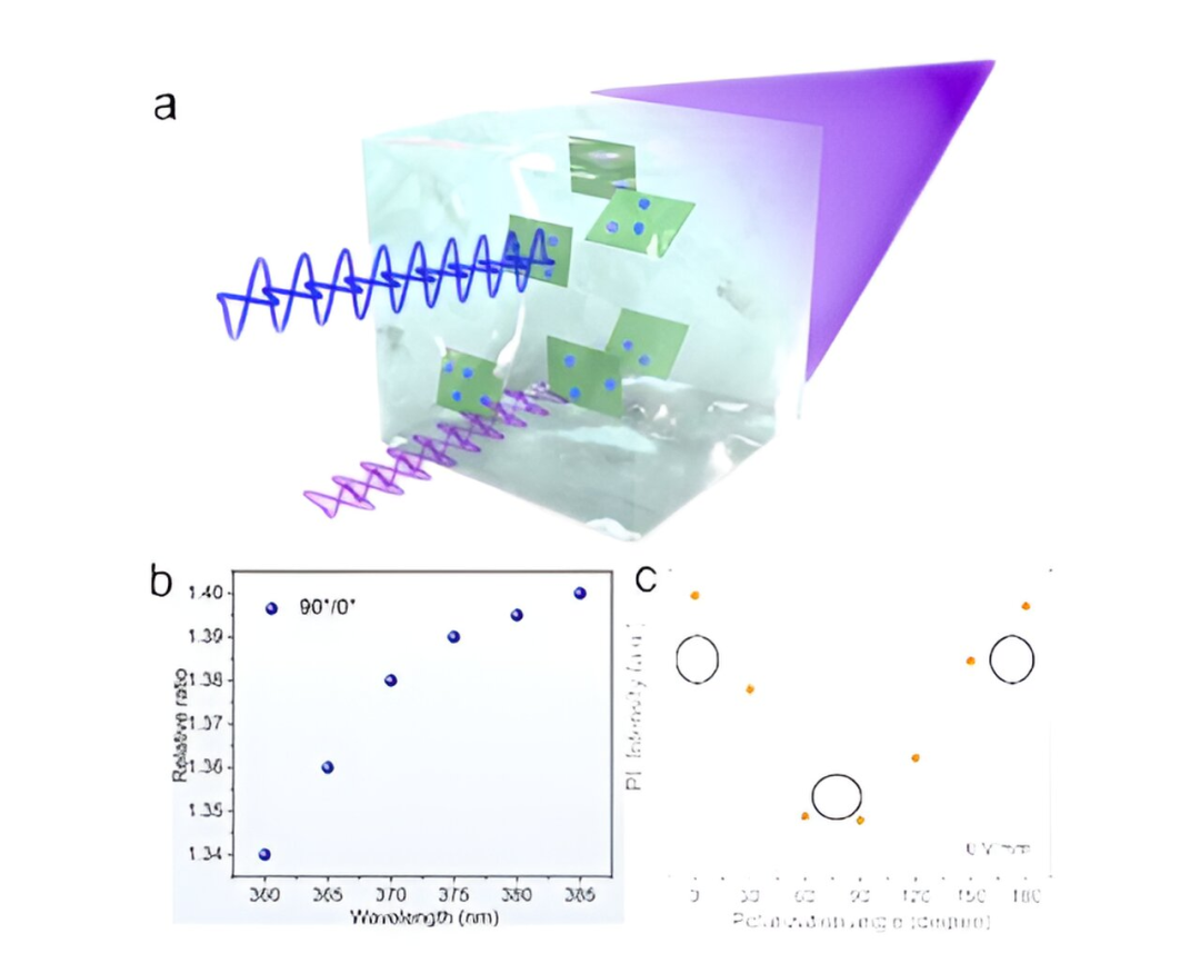 科学家开发出一种新的偏振异质结构发光材料！2D材料和0D量子点的“结合”，为未来新型显示器带来可能的图3