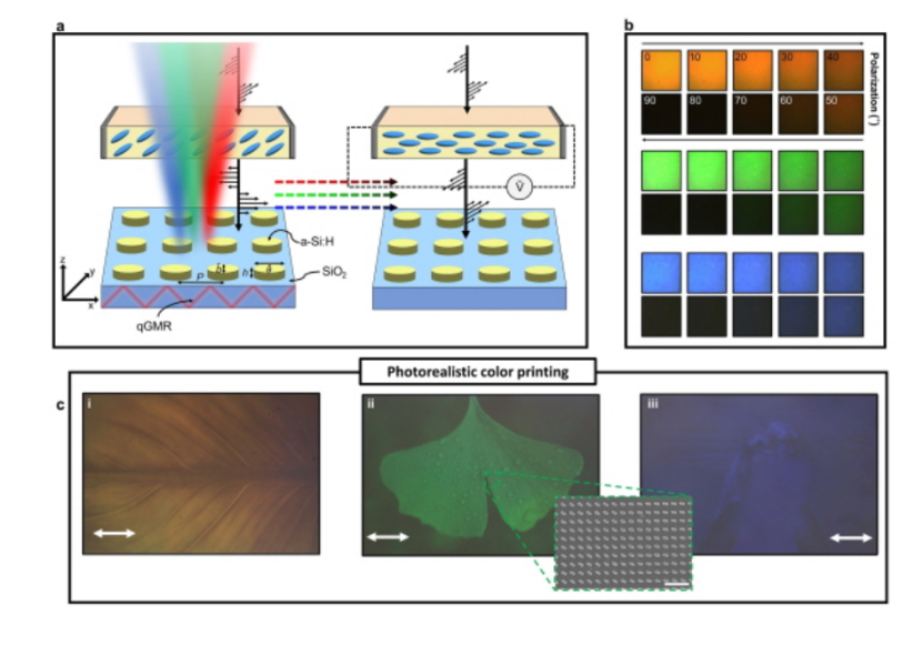 滤光片 | 韩浦项科技大学开发出分辨率可达120倍至170倍的彩色滤光片的图4