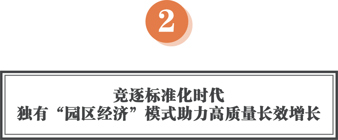 立马荣膺浙江省级绿色低碳工厂以产业特色新质生产力助力长效增长