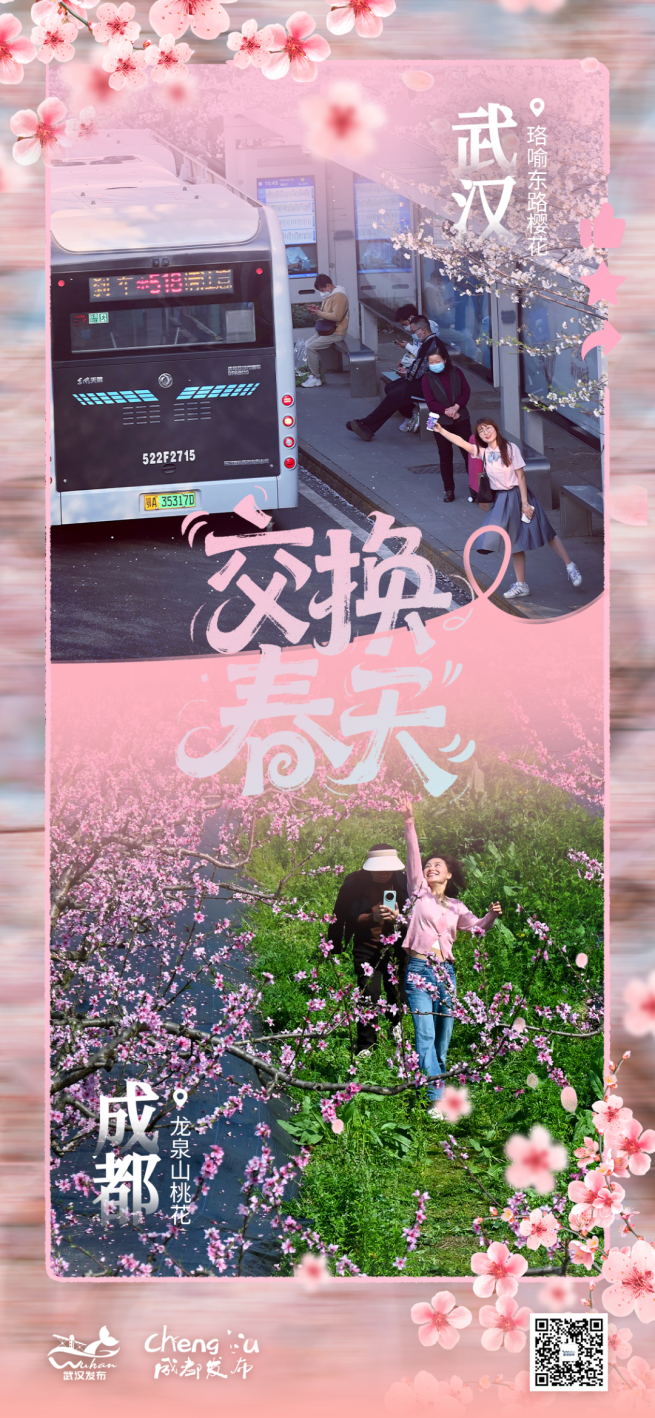 樱花.png