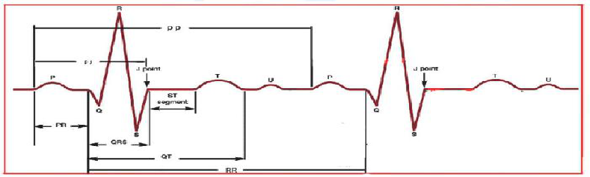 病人监护仪怎么用监护仪的使用丨基本监测参数_https://www.jmylbn.com_新闻资讯_第2张
