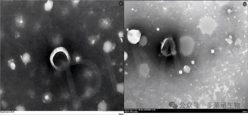 ͼƬ2(1).png