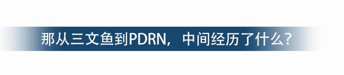 养了20年三文鱼丨优质海鳟鱼如何变成更高纯度的纯净PDRN？