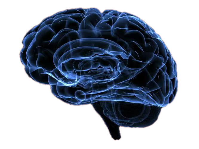 彩色经颅多普勒是什么【广医保定｜健康科普·功能检查科】带你认识经颅多普勒超声检查_https://www.jmylbn.com_新闻资讯_第2张