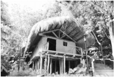 南亚地形特征_南亚地形图_东亚南亚季风图