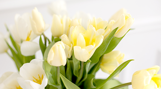 廷融工商功实国内重点资3银行用证亿元马鞍福费客户行成现某 信山分