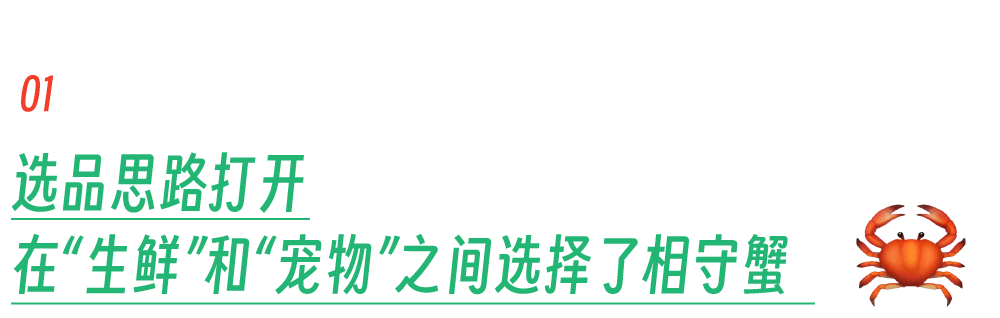 对话选品团队