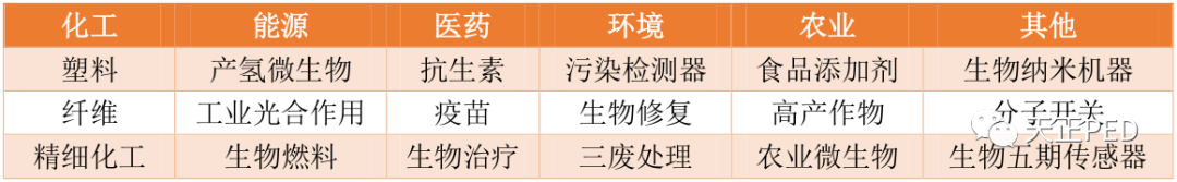 生物工程賦能美好未來