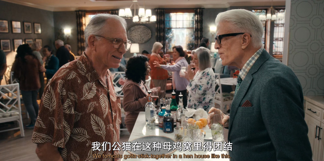 烂番茄97%，Netflix最新霸榜美剧《新手老卧底/卧底老绅士/间谍代理人》杀疯了！