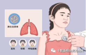 “阿奇霉素”火上热搜，快来看看怎么吃？