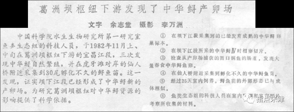 水中大熊貓正面臨滅絕風險您認為我們還能拯救它們嗎