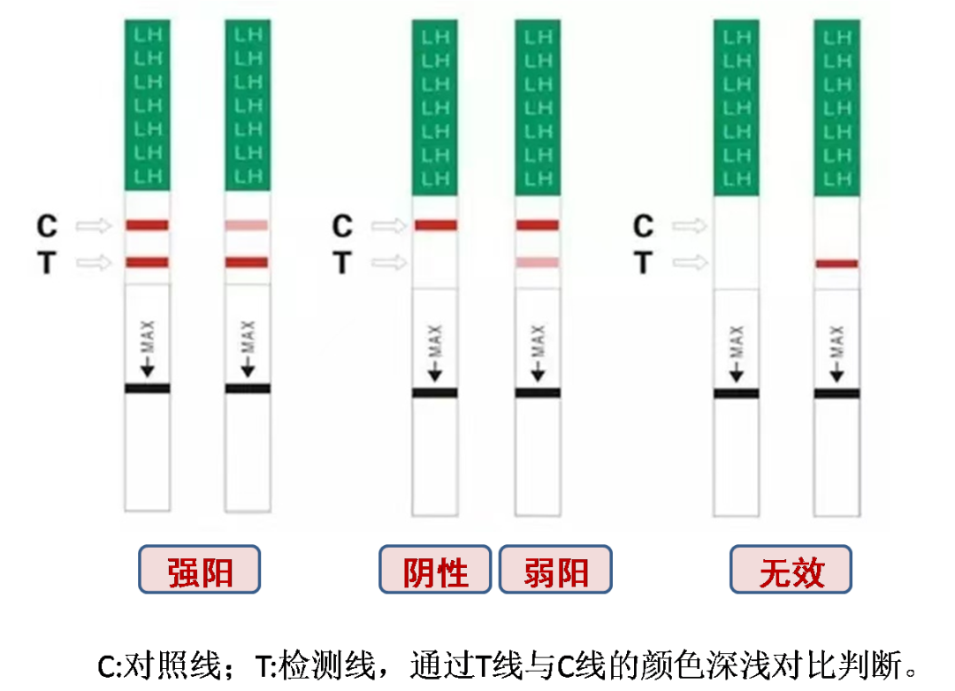 上午打了排卵针晚上同房_针上午排卵同房晚上打胎可以吗_早上打排卵针晚上同房