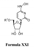 Molnupiravir让新冠药物开发燃起新希望，这是为什么？ 第13张