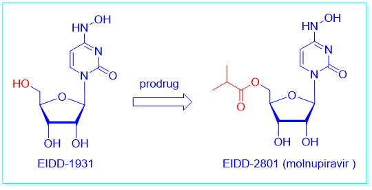 Molnupiravir让新冠药物开发燃起新希望，这是为什么？ 第5张