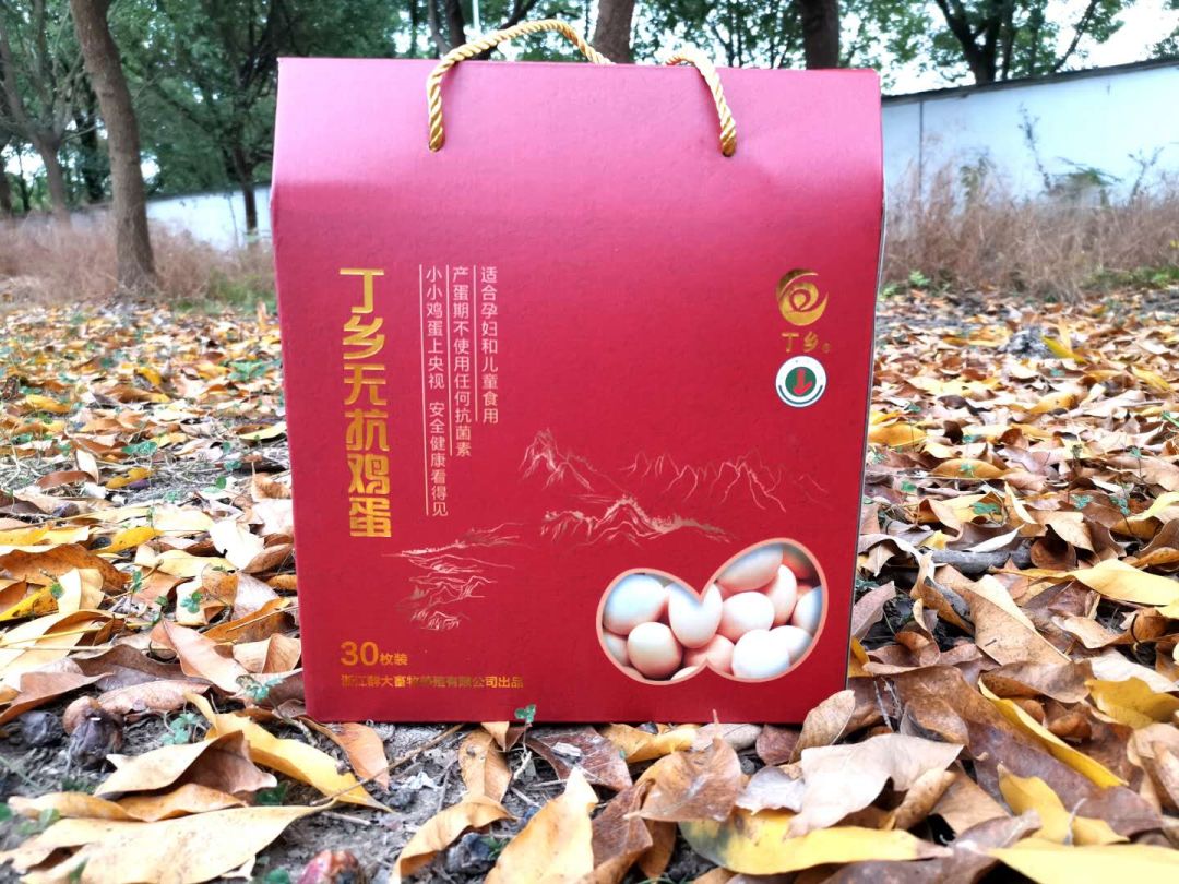 剛簽約！海寧要在這網紅景區新打造一個基地！市民有福了 旅遊 第27張