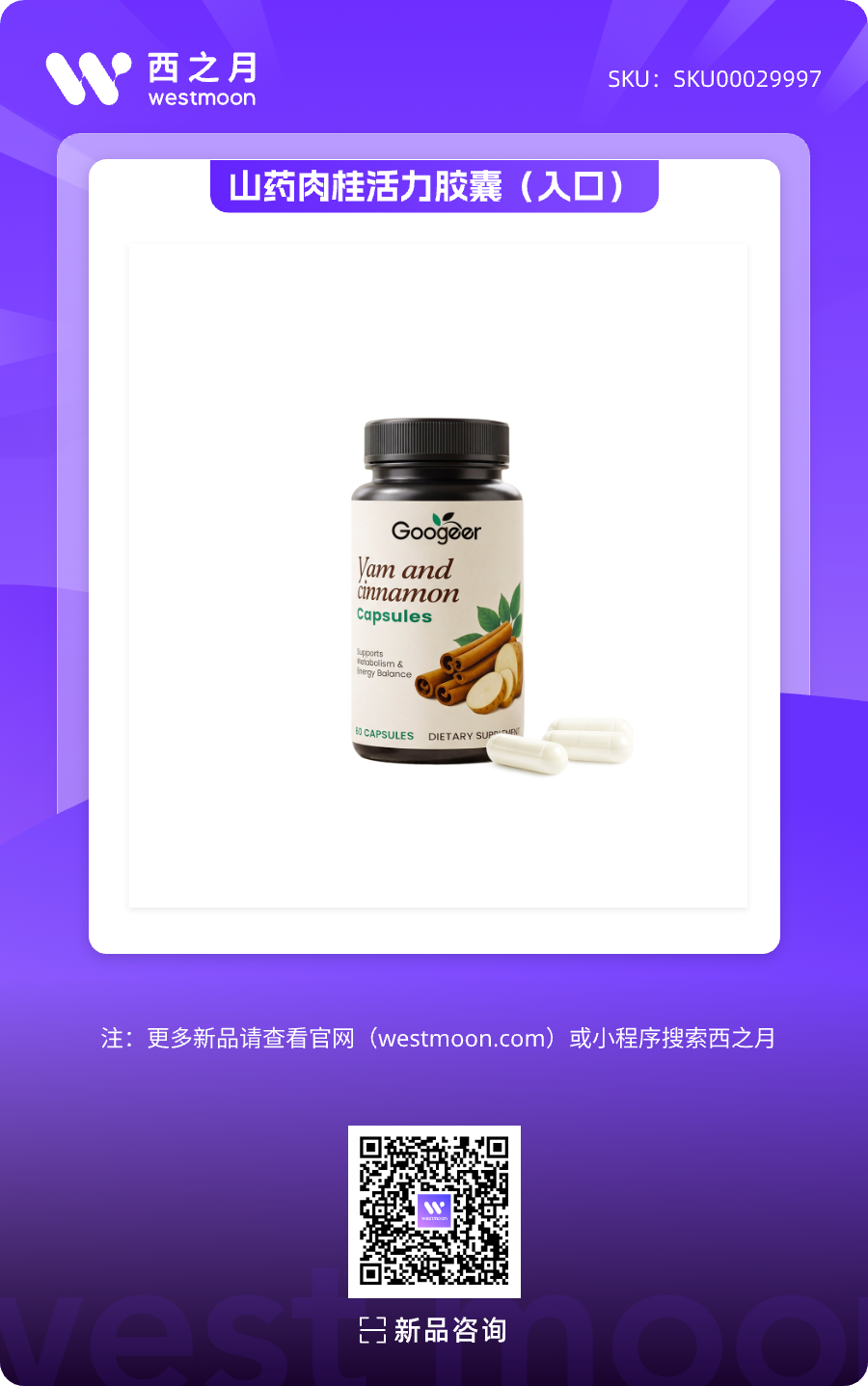 西之月新品推荐 | 第60期