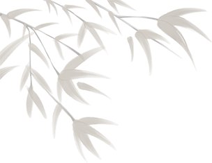 路边不起眼的“野草”，也是一味珍贵的药材！